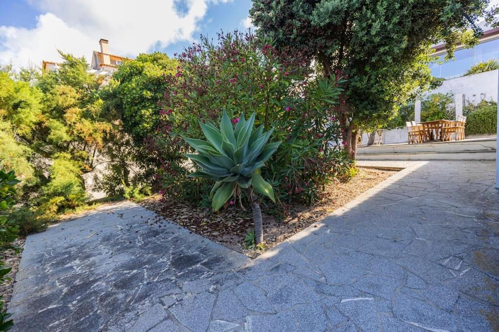 Challet Ericeira Villa Exterior photo